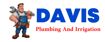 Trusted plumber in RONCO